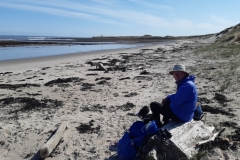 The perfect lunch spot on Lindisfarne. Photo: Betty Hamer