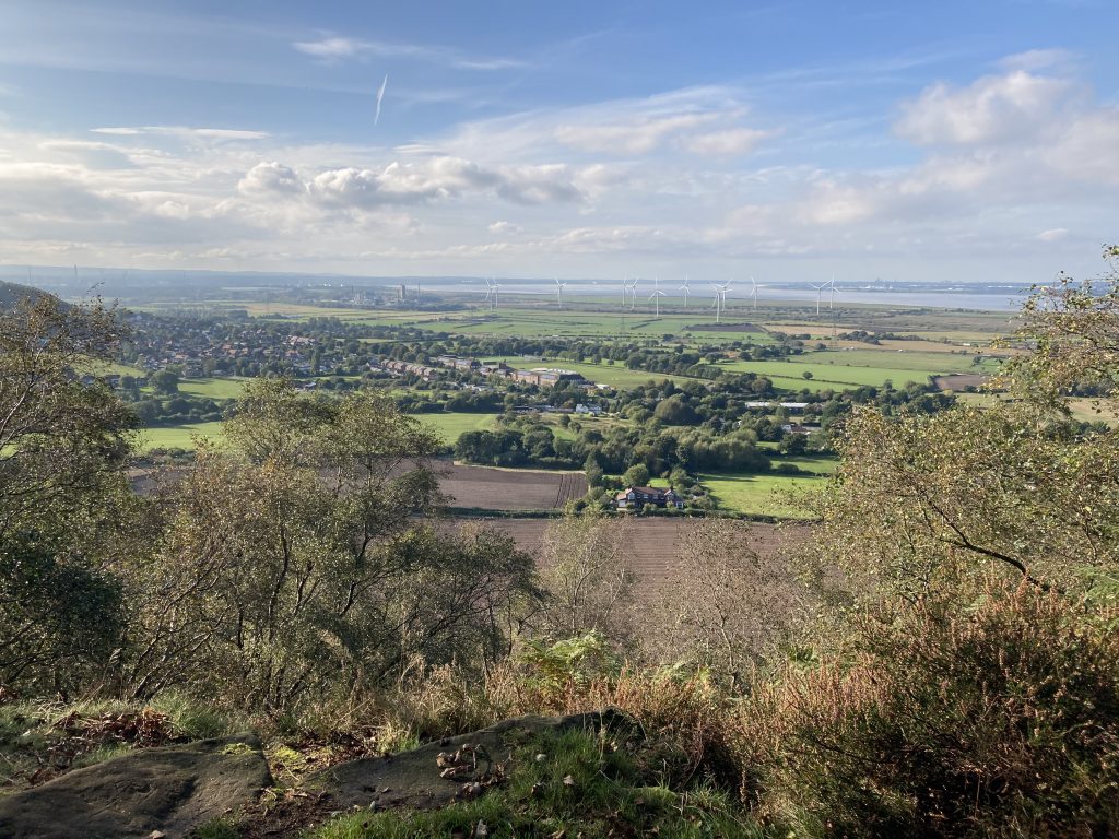 View from Fox Hill